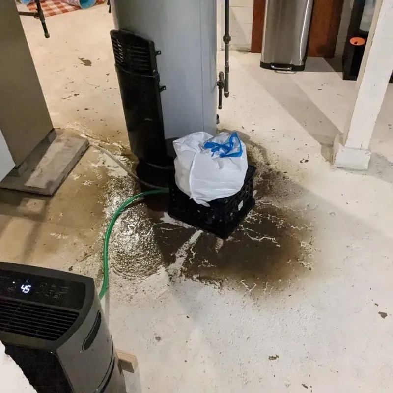 Sewage Backup Cleanup Service in Tripp County, SD